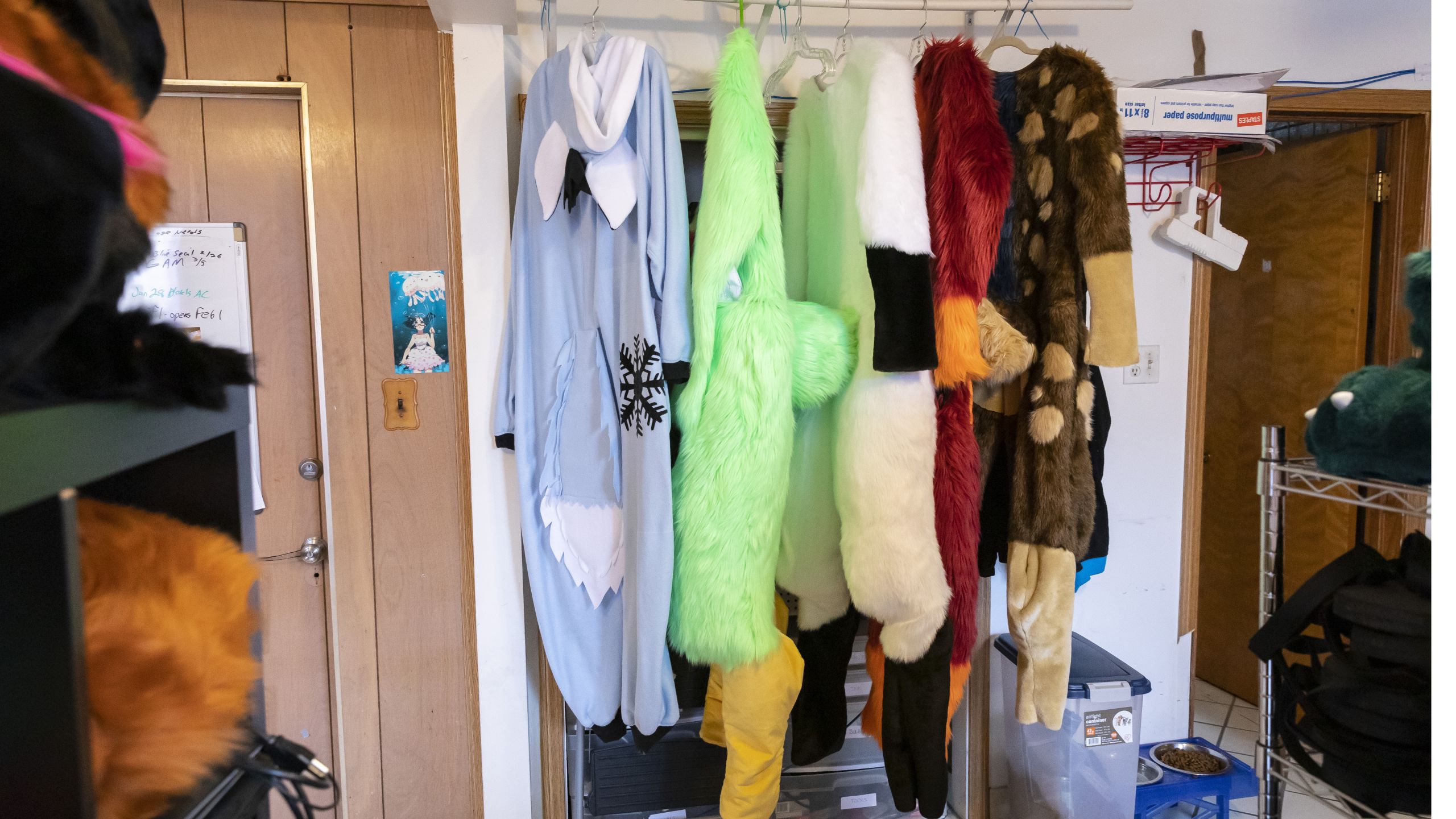 This Local Company Has Chicago-Area Furries Covered